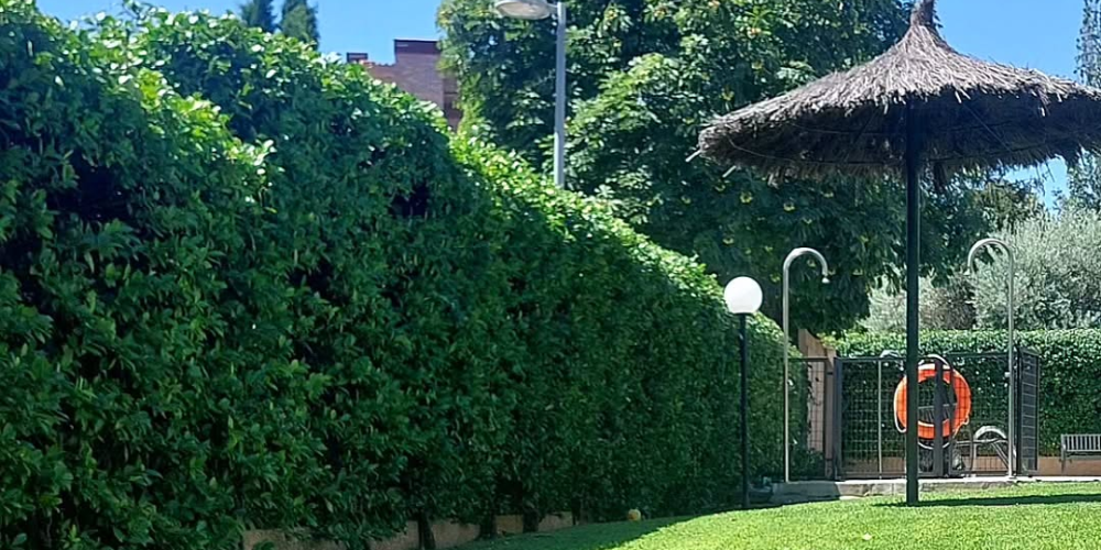 Servicios de NV Jardinería en Madrid
