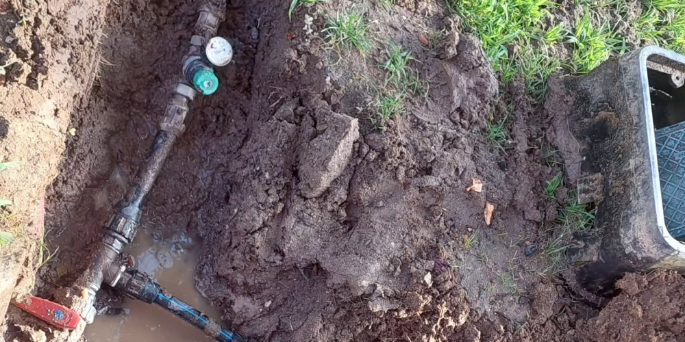 Servicios de NV Jardinería en Madrid